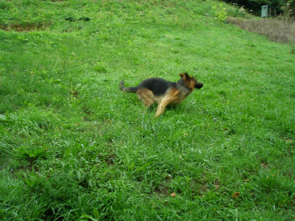 Foto de Tapia de Casariego (Asturias), España