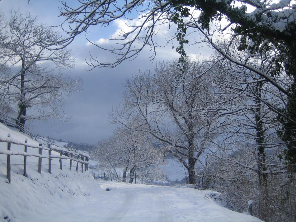 Foto de El quempu (Asturias), España