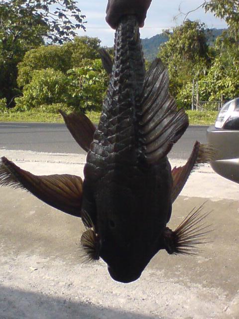 Foto de Shell-Pastaza, Ecuador