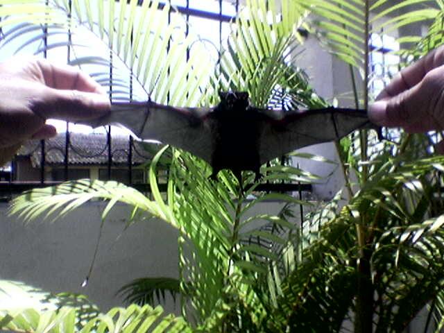 Foto de Shell-Pastaza, Ecuador