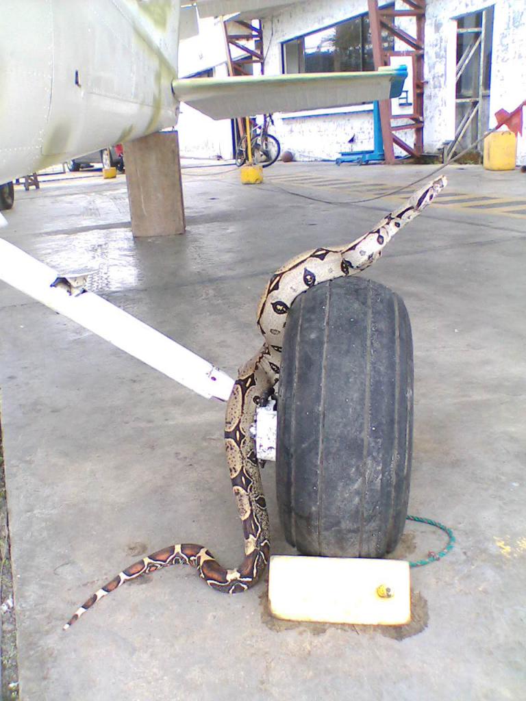 Foto de Shell-Pastaza, Ecuador