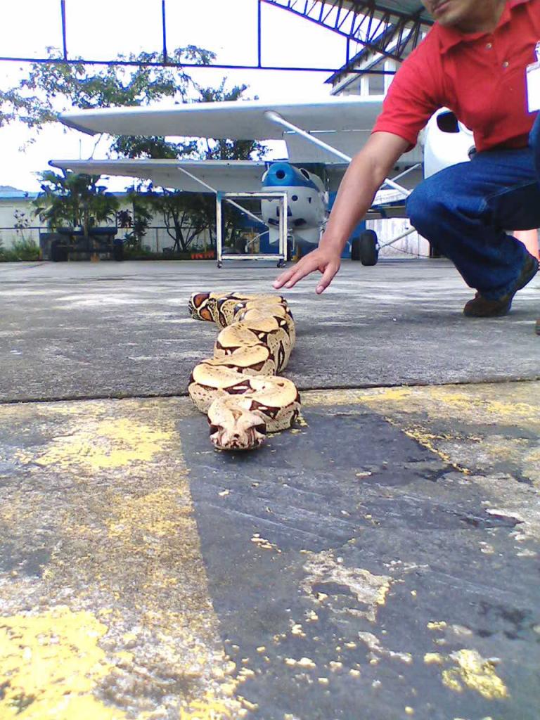 Foto de Shell-Pastaza, Ecuador