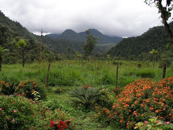 Foto de Sierra Ecuatoriana, Ecuador