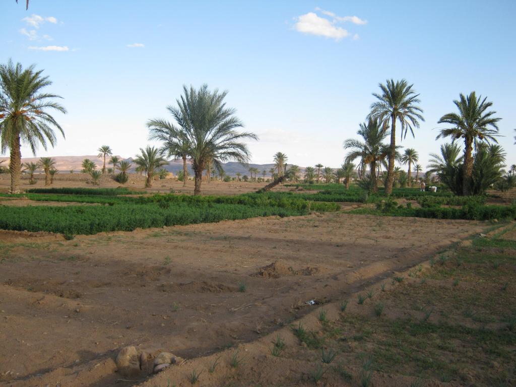 Foto de Alnif, Marruecos