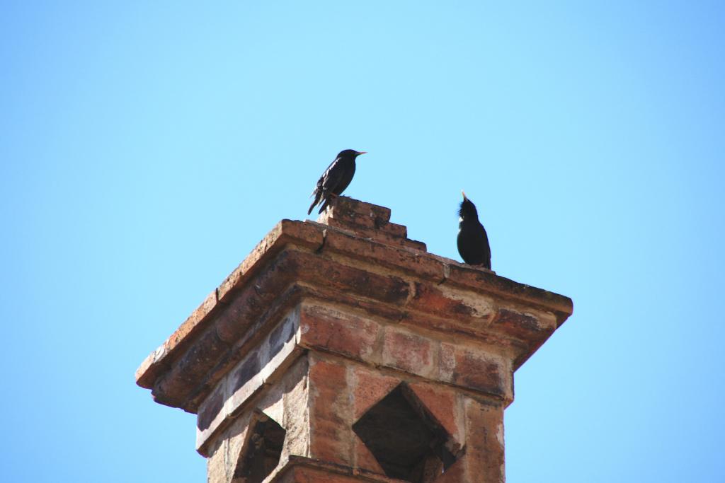 Foto de Santa Coloma de Cervelló (Barcelona), España