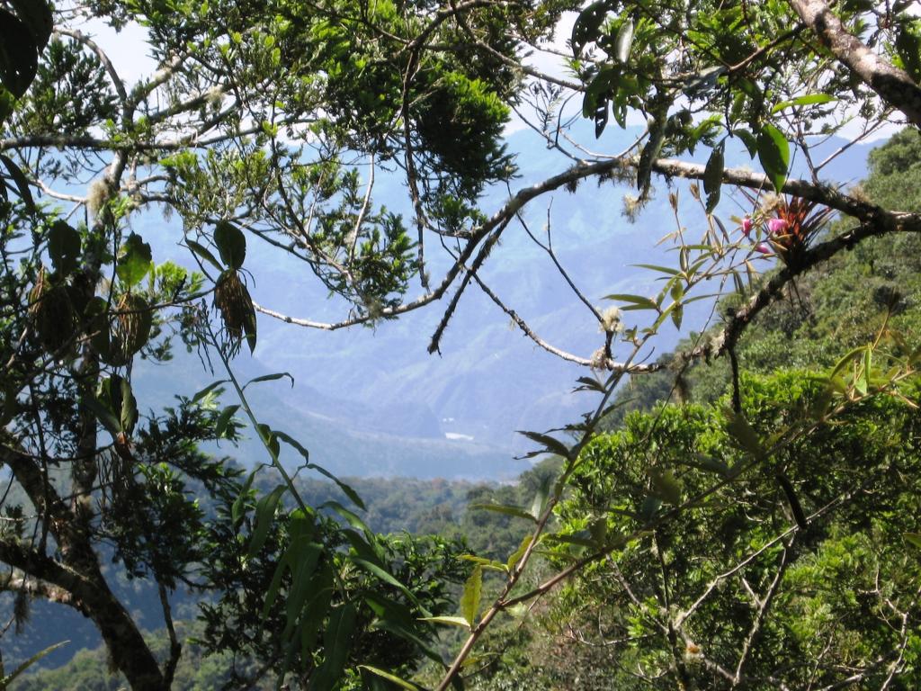 Foto de Chanchamayo, Perú