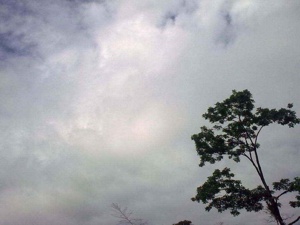 Foto de Puyo-Pastaza, Ecuador