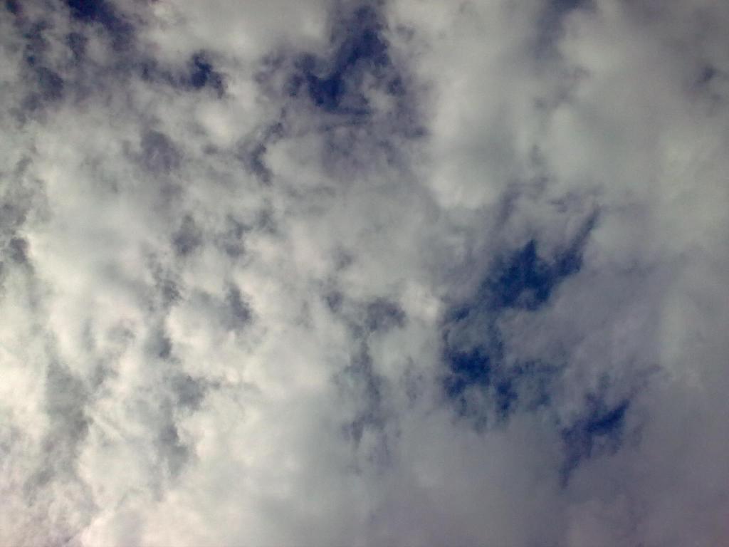 Foto de Puyo-Pastaza, Ecuador