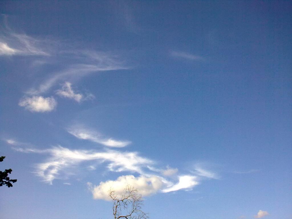 Foto de Puyo-Pastaza, Ecuador