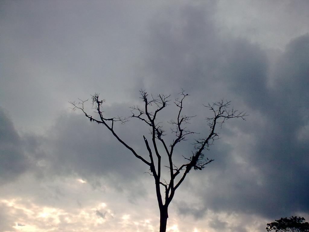 Foto de Puyo-Pastaza, Ecuador