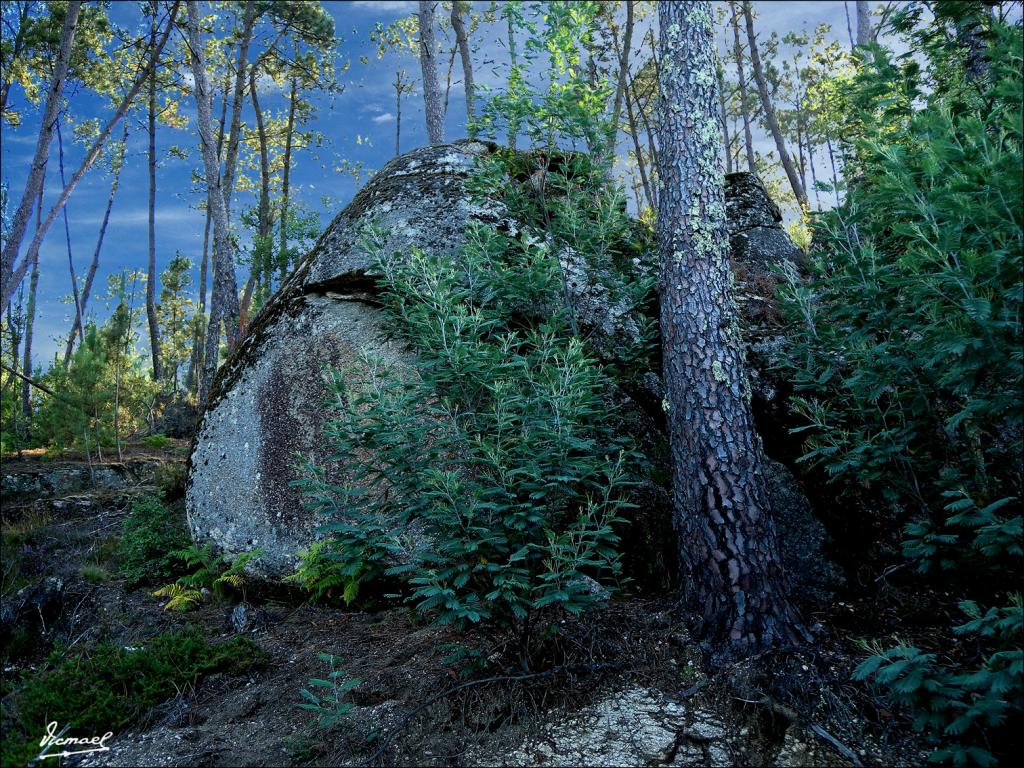 Foto de Arnoia (Ourense), España