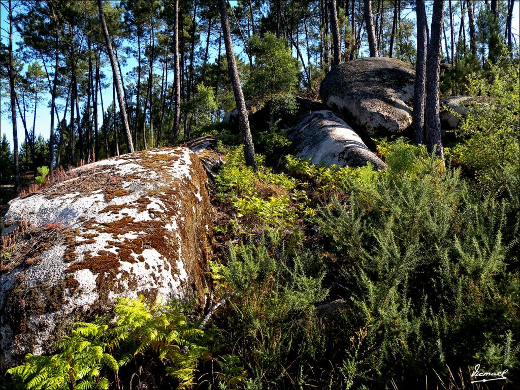 Foto de Arnoia (Ourense), España
