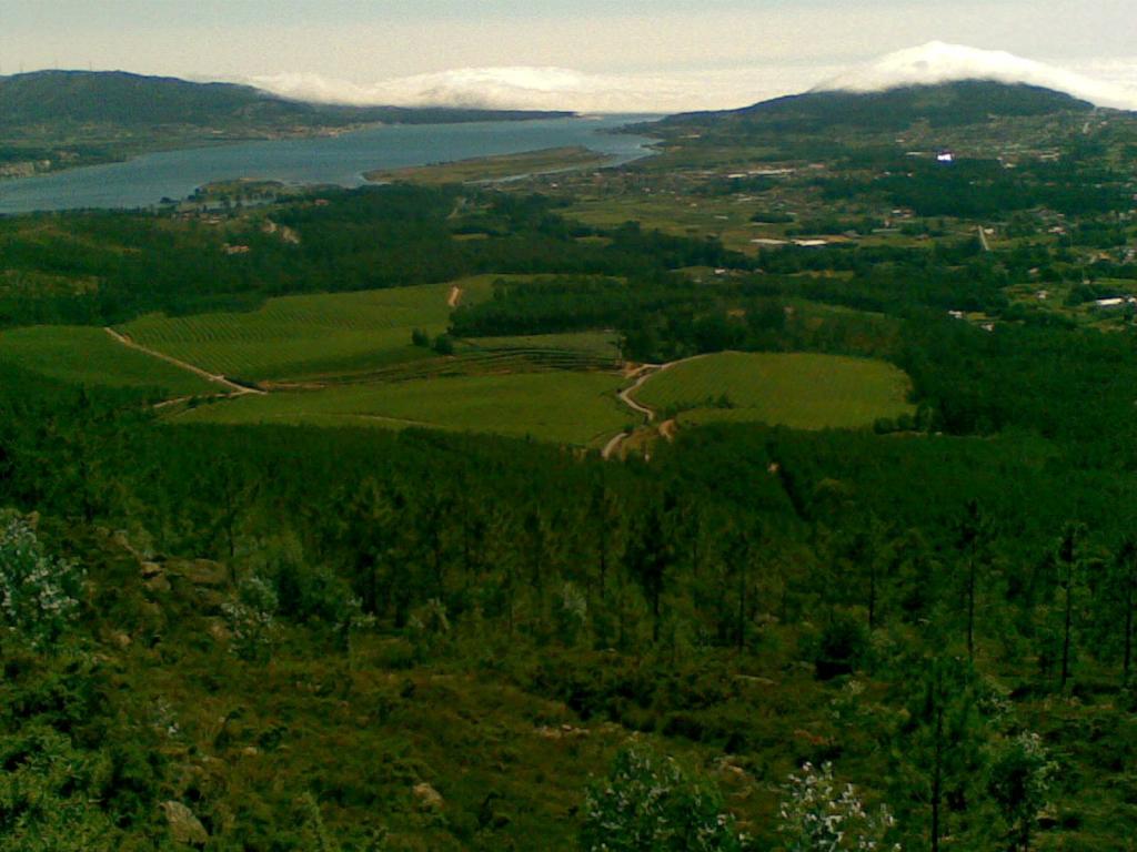 Foto de O Rosal (Pontevedra), España