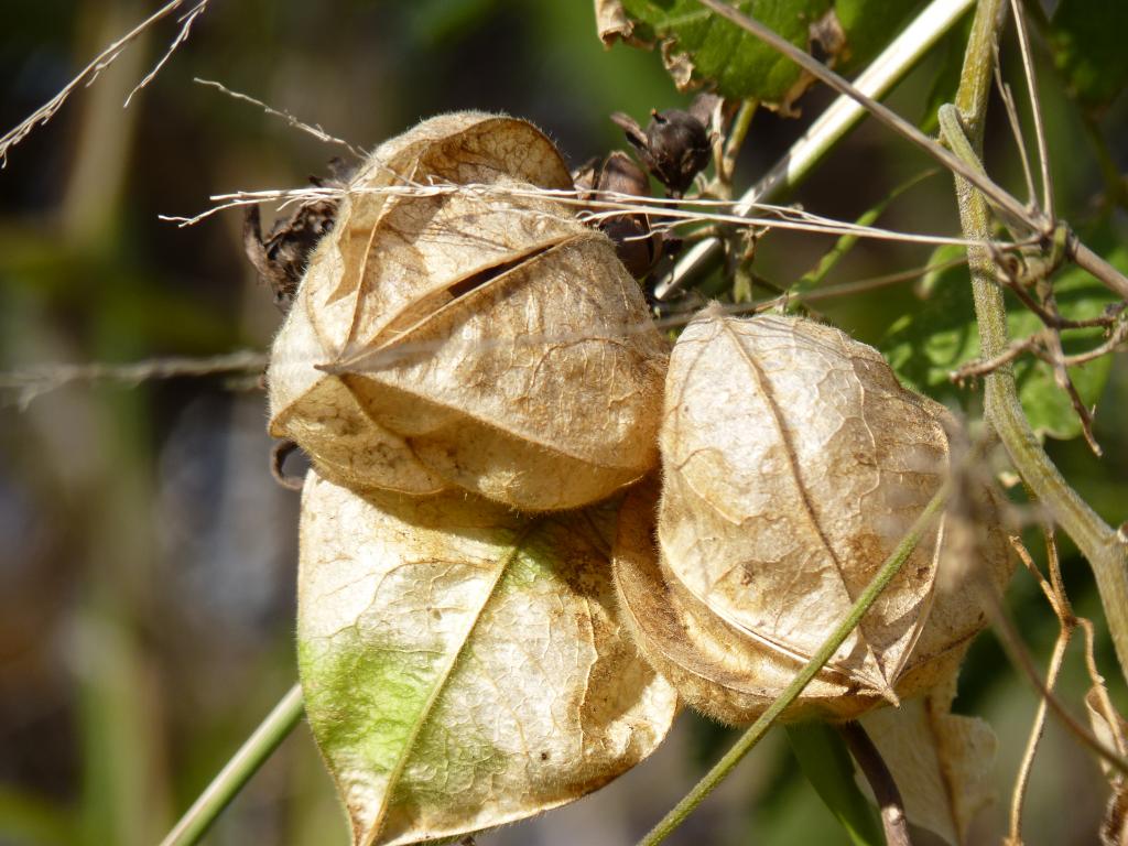 Foto de Vicente López (Buenos Aires), Argentina