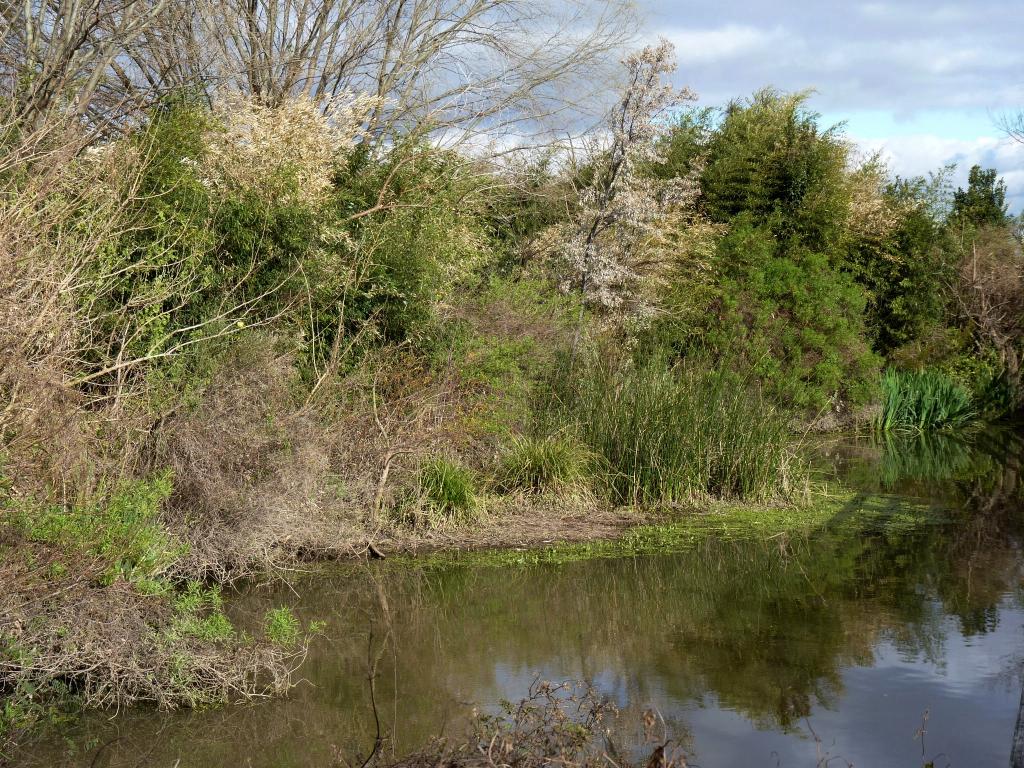 Foto de Vicente López (Buenos Aires), Argentina