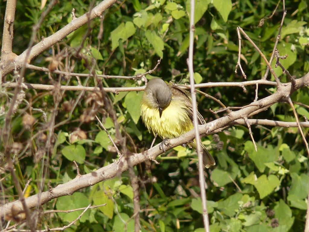 Foto de Vicente López (Buenos Aires), Argentina