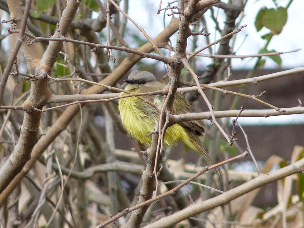 Foto de Vicente López (Buenos Aires), Argentina