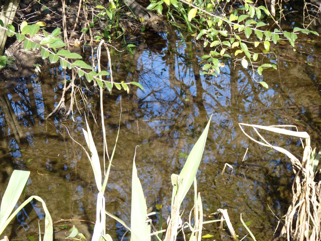 Foto de Vicente López (Buenos Aires), Argentina