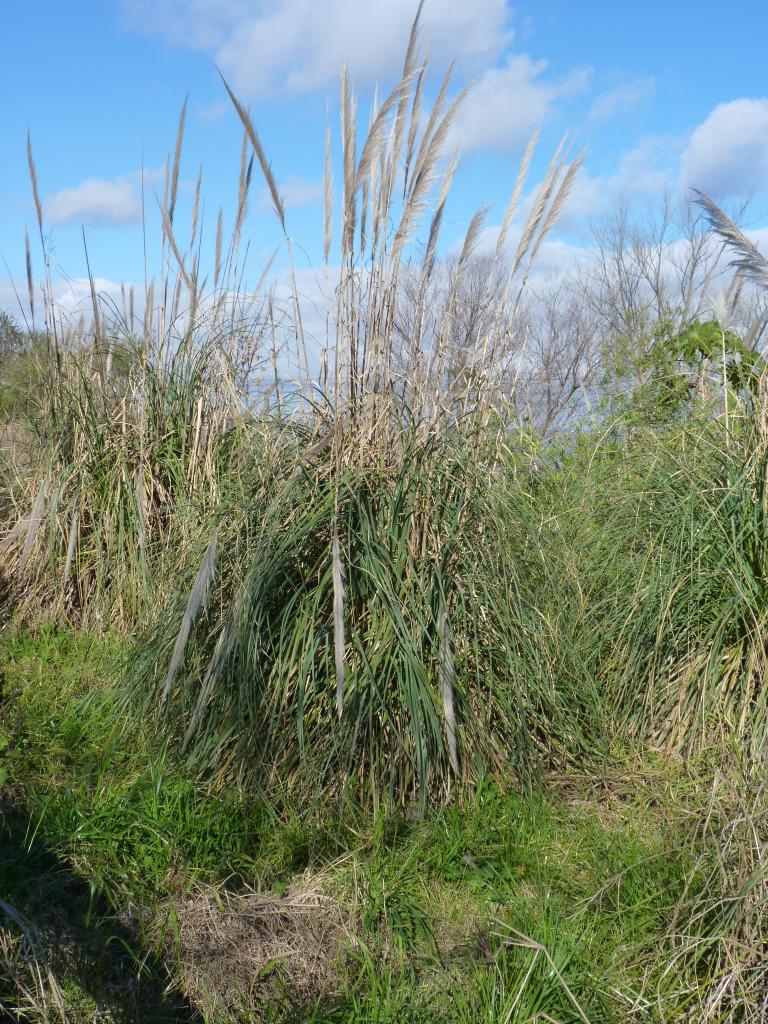 Foto de Vicente López (Buenos Aires), Argentina