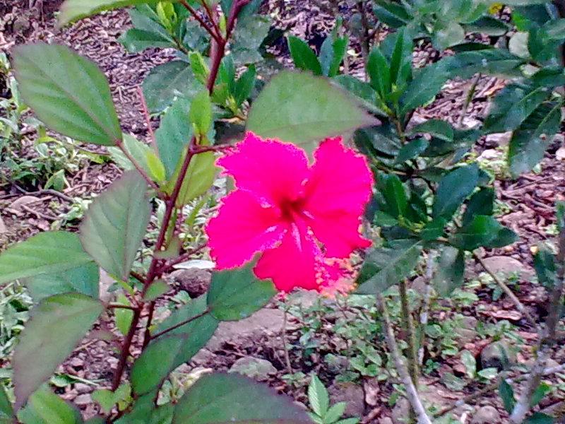 Foto de Shell-Pastaza, Ecuador