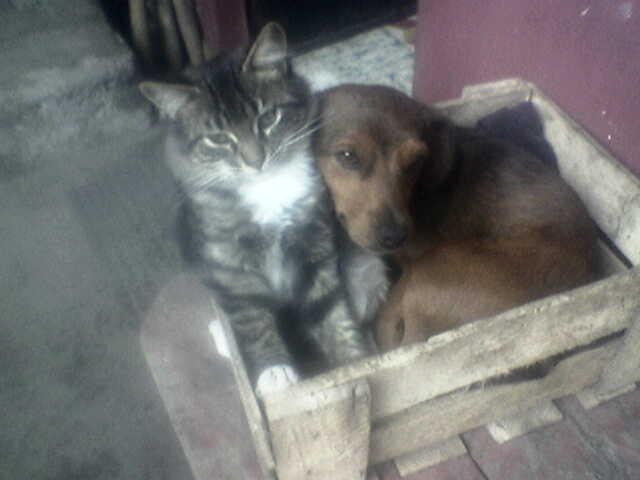 Foto de Shell-Pastaza, Ecuador