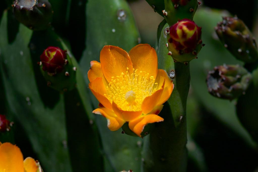 Foto de Zaragoza (Aragón), España