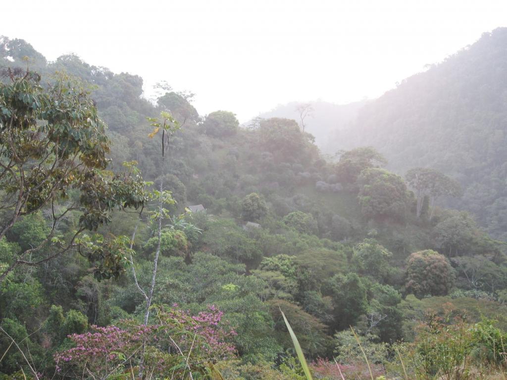Foto de Chanchamayo, Perú