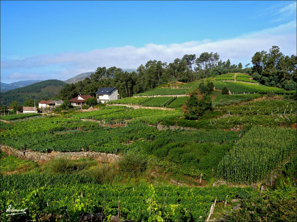 Foto de Arnoia (Ourense), España
