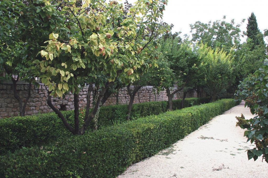 Foto de Chinchón (Madrid), España