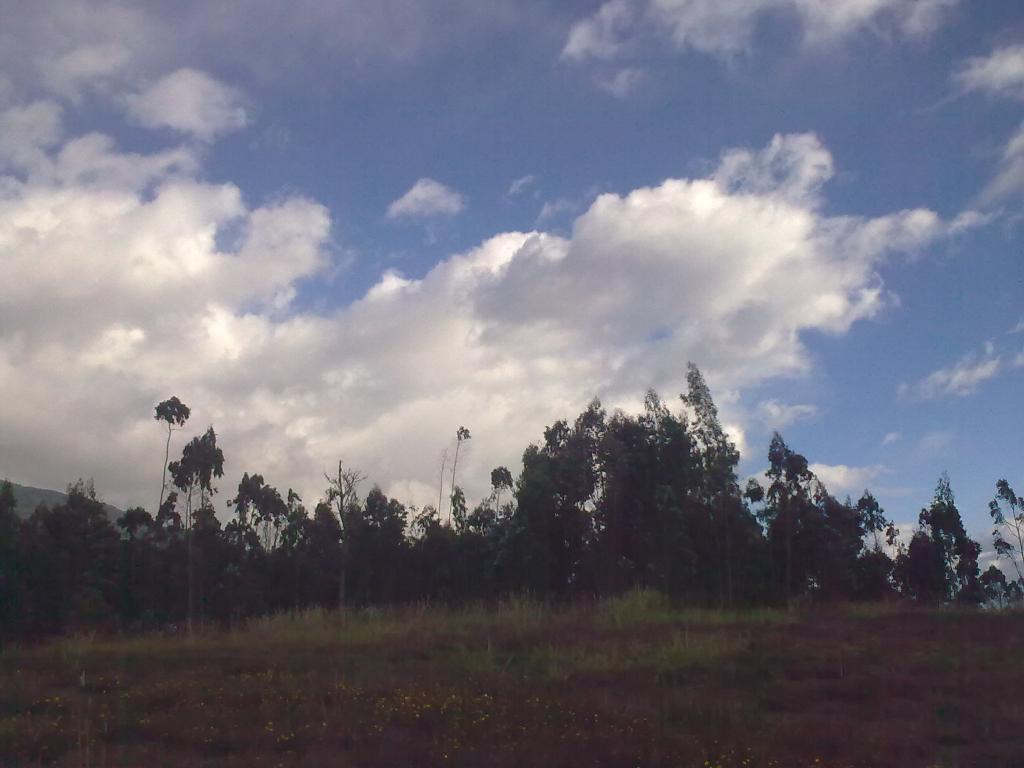 Foto de Bayushig, Ecuador