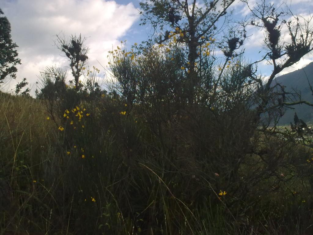 Foto de Bayushig, Ecuador