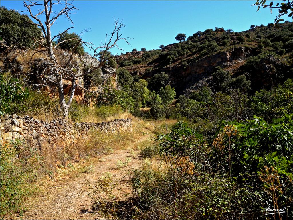Foto de Somaen (Soria), España