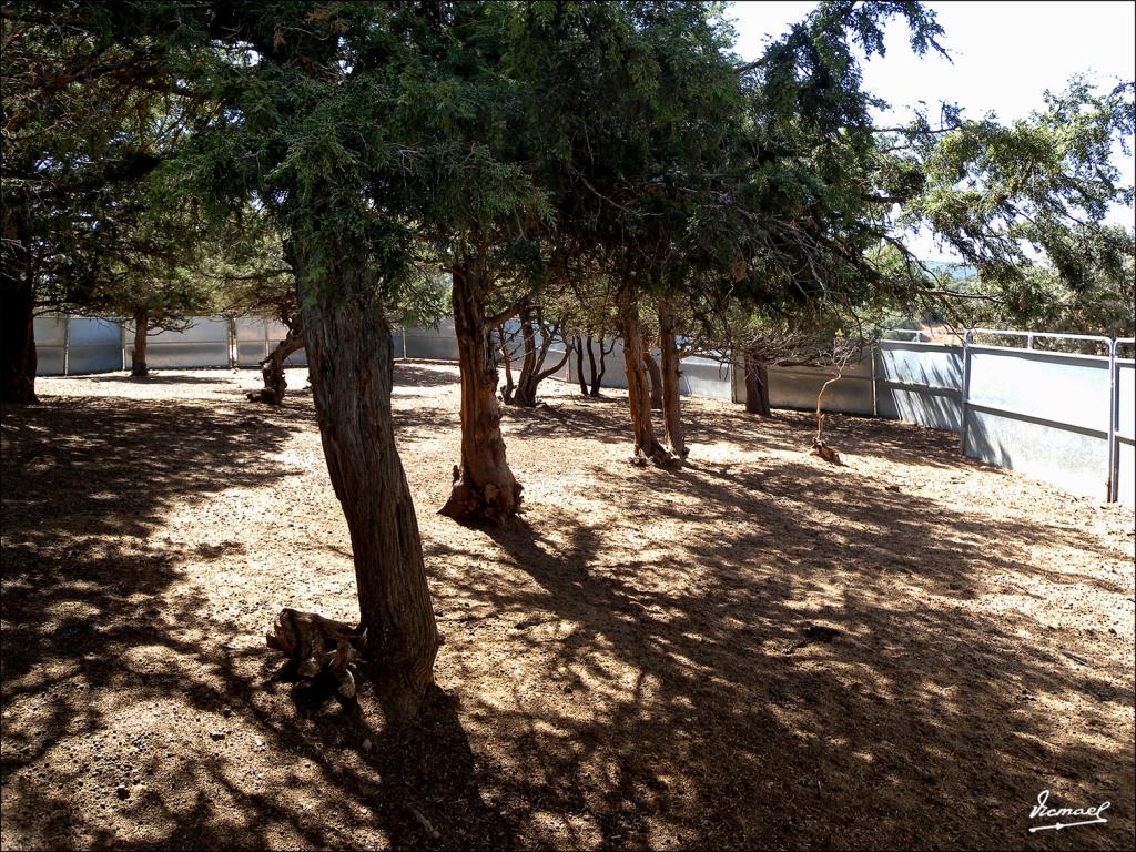 Foto de Alconchel de Ariza (Zaragoza), España