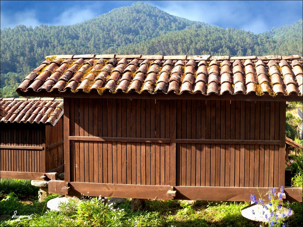 Foto de Arnoia (Ourense), España