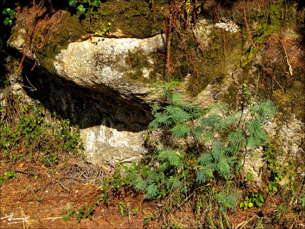 Foto de Arnoia (Ourense), España