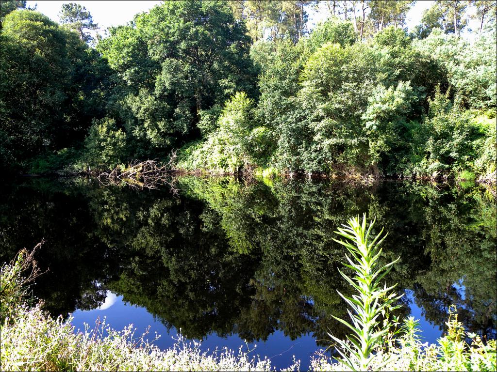 Foto de Arnoia (Ourense), España