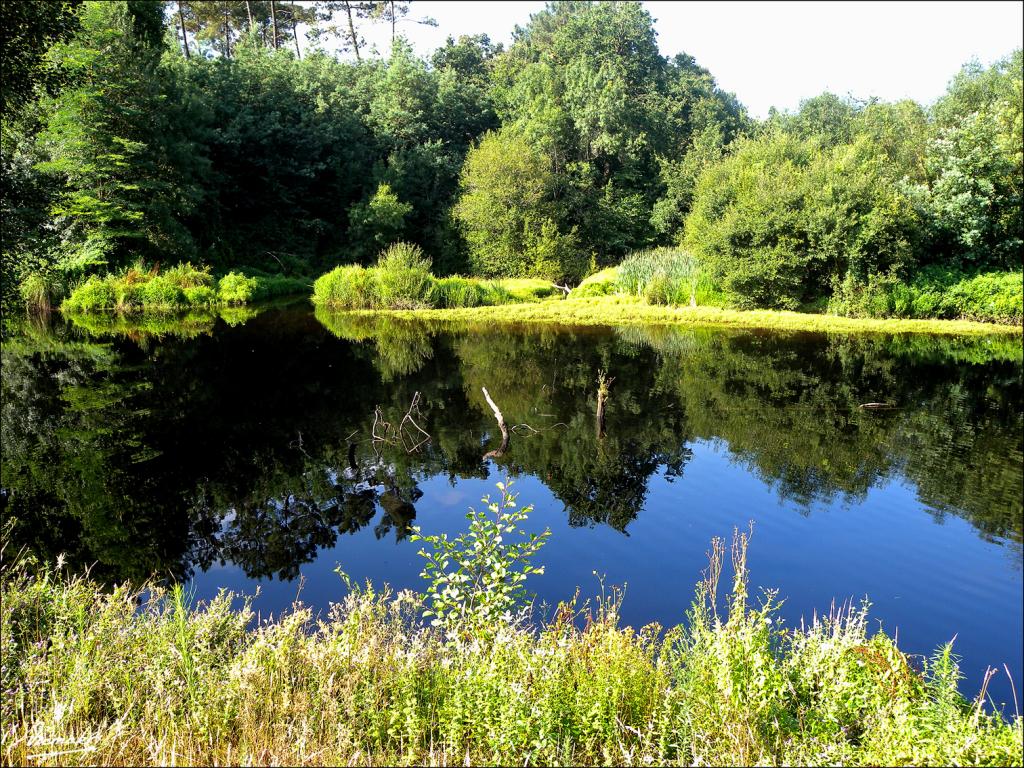 Foto de Arnoia (Ourense), España