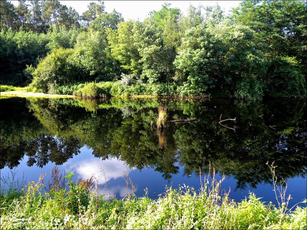 Foto de Arnoia (Ourense), España