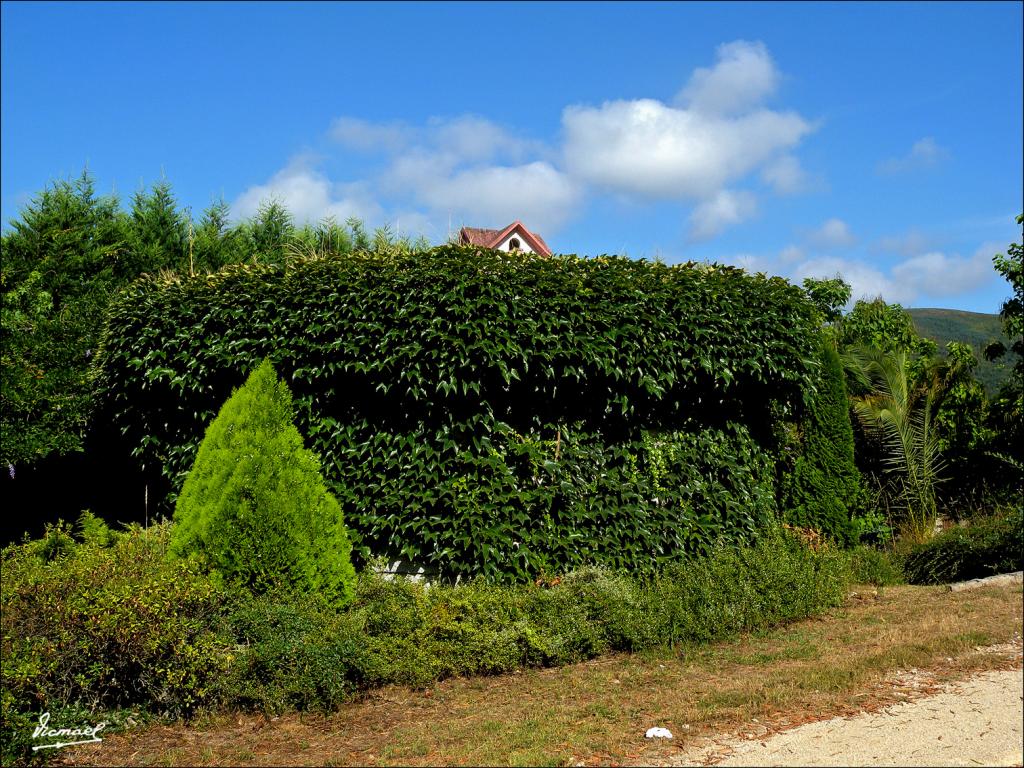 Foto de Arnoia (Ourense), España