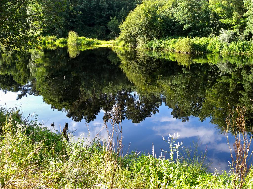 Foto de Arnoia (Ourense), España