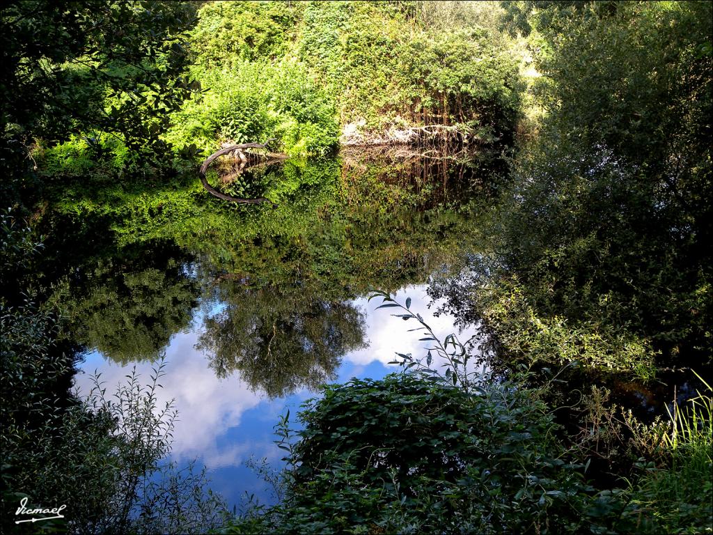 Foto de Arnoia (Ourense), España