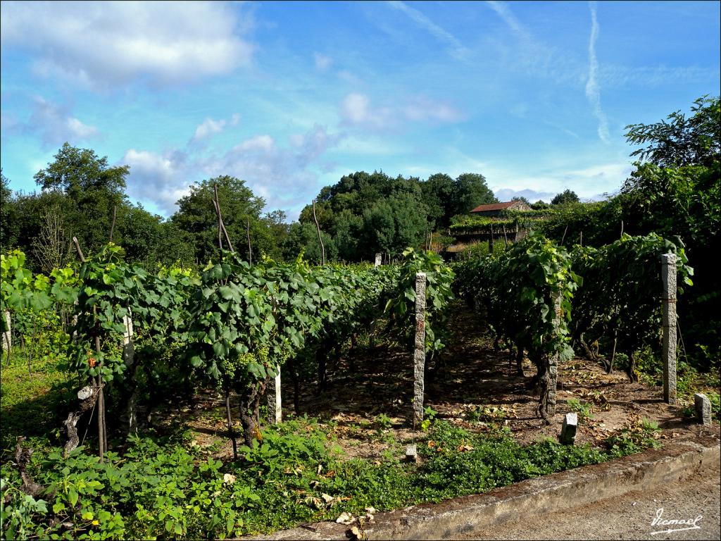 Foto de Arnoia (Ourense), España