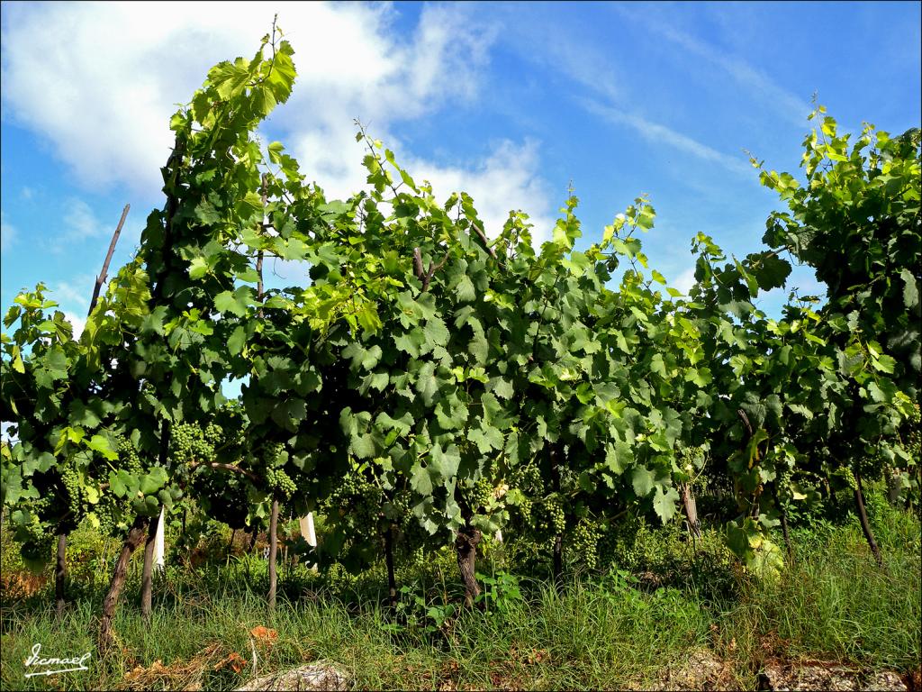 Foto de Arnoia (Ourense), España