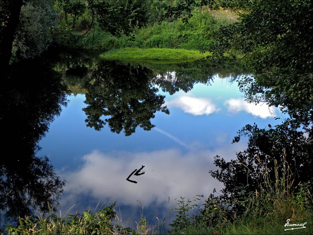 Foto de Arnoia (Ourense), España