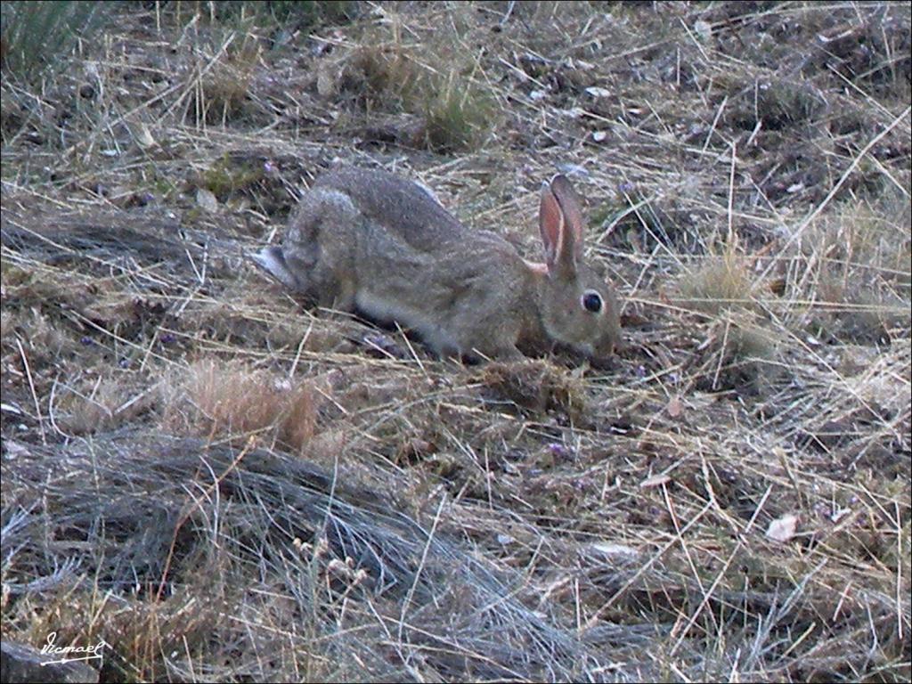 Foto de Arnoia (Ourense), España