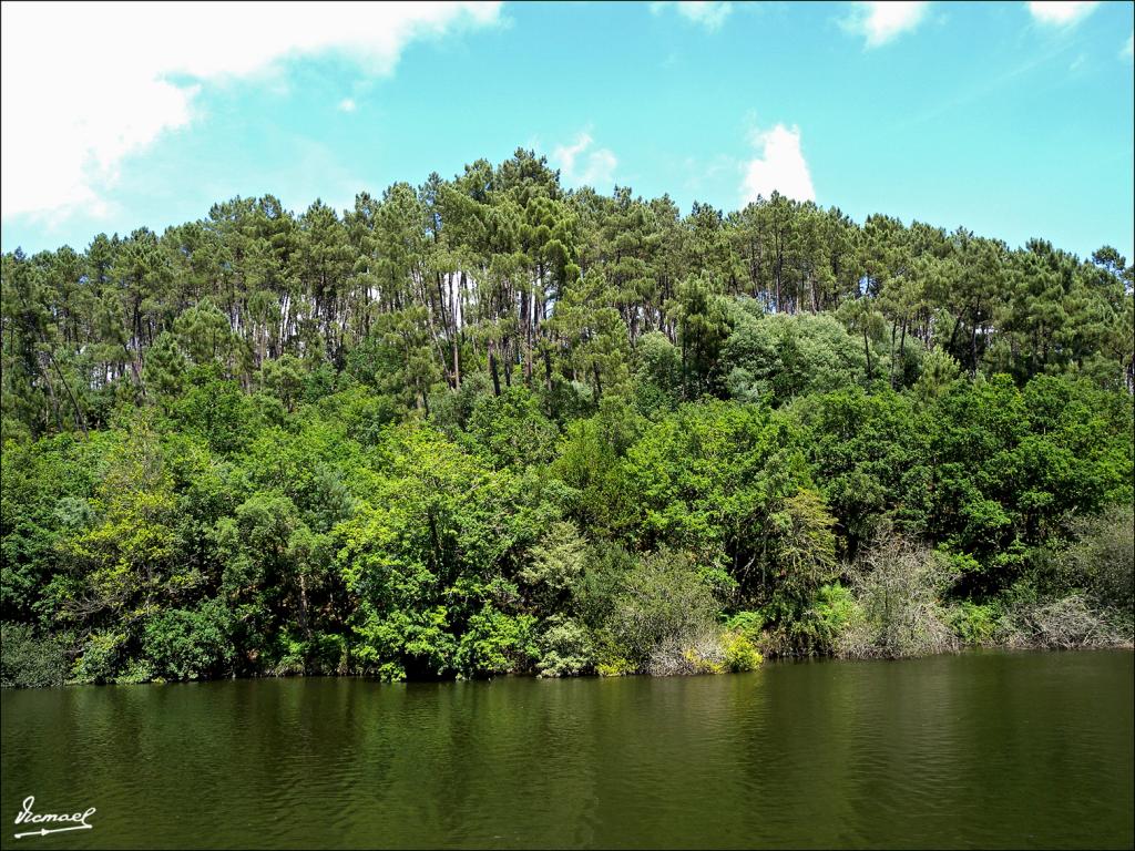 Foto de Arnoia (Ourense), España