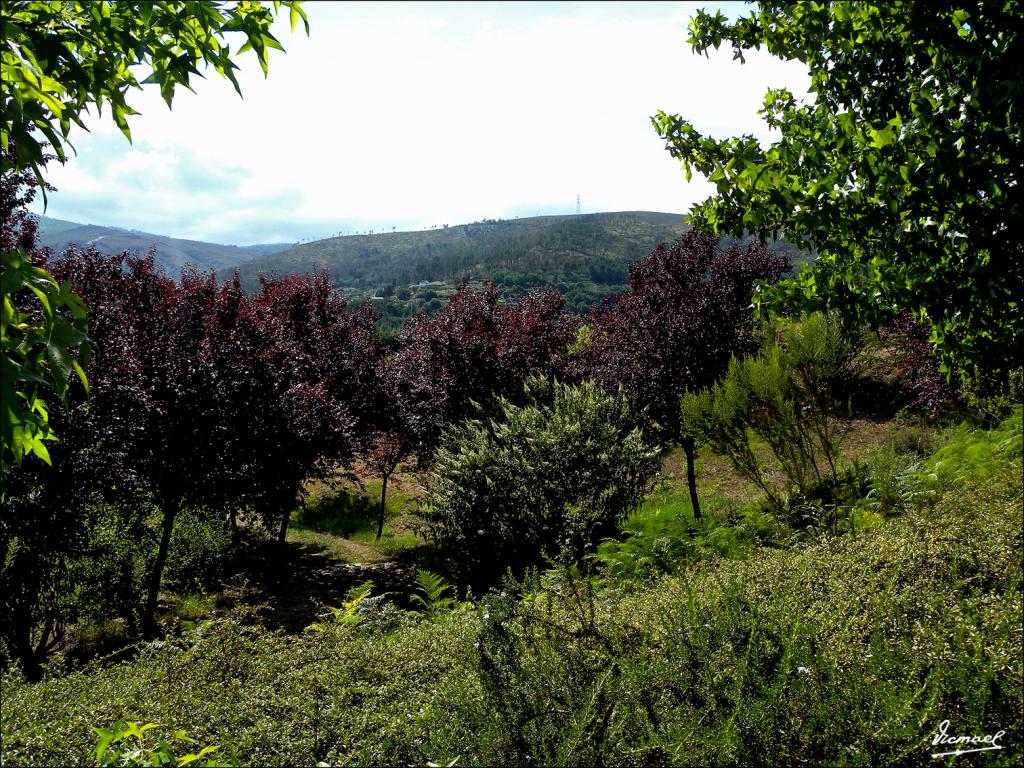 Foto de Arnoia (Ourense), España