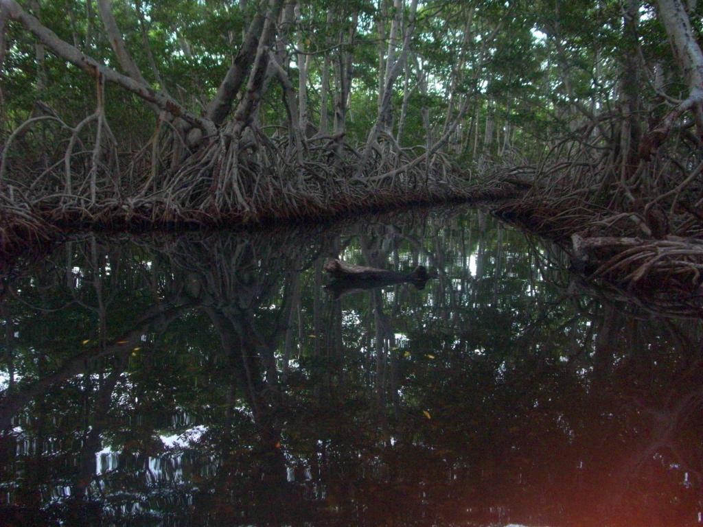 Foto de Ocumare de la Costa (La Sienaga), Venezuela
