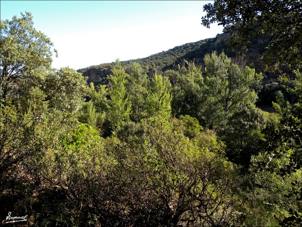 Foto de Somaen (Soria), España