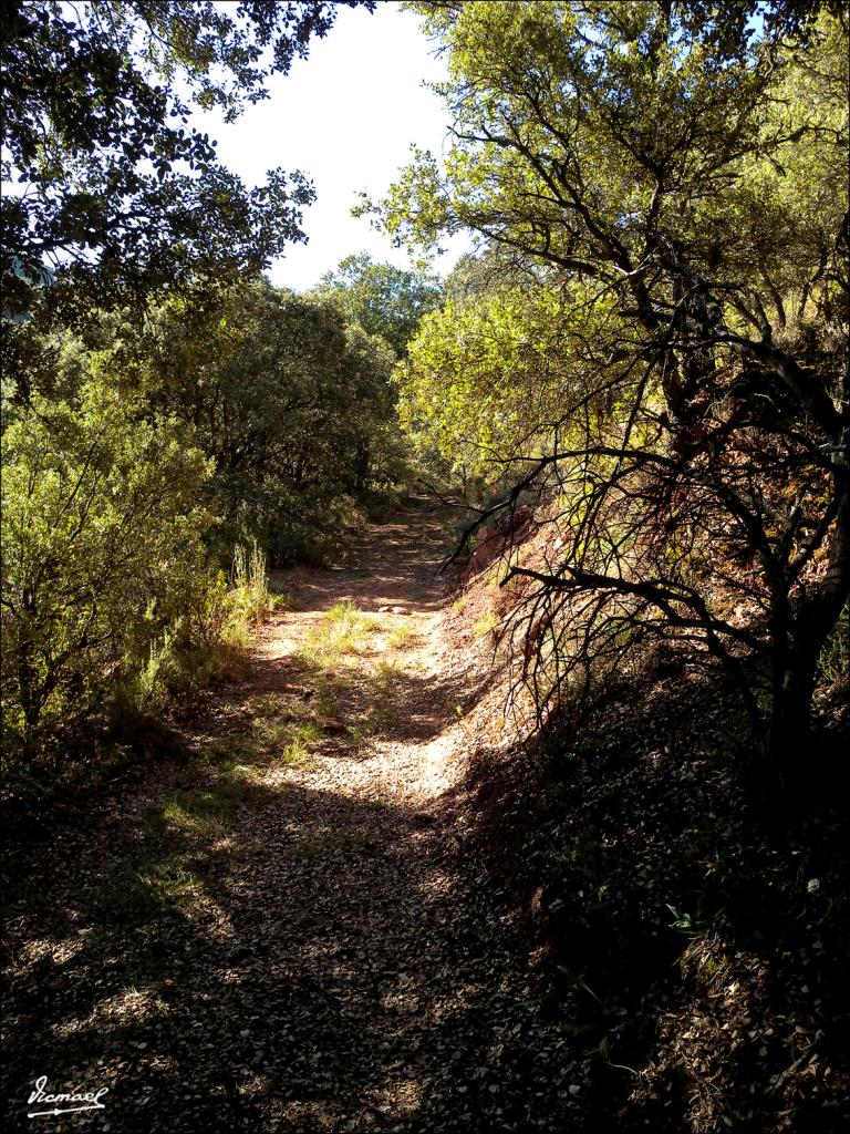 Foto de Somaen (Soria), España